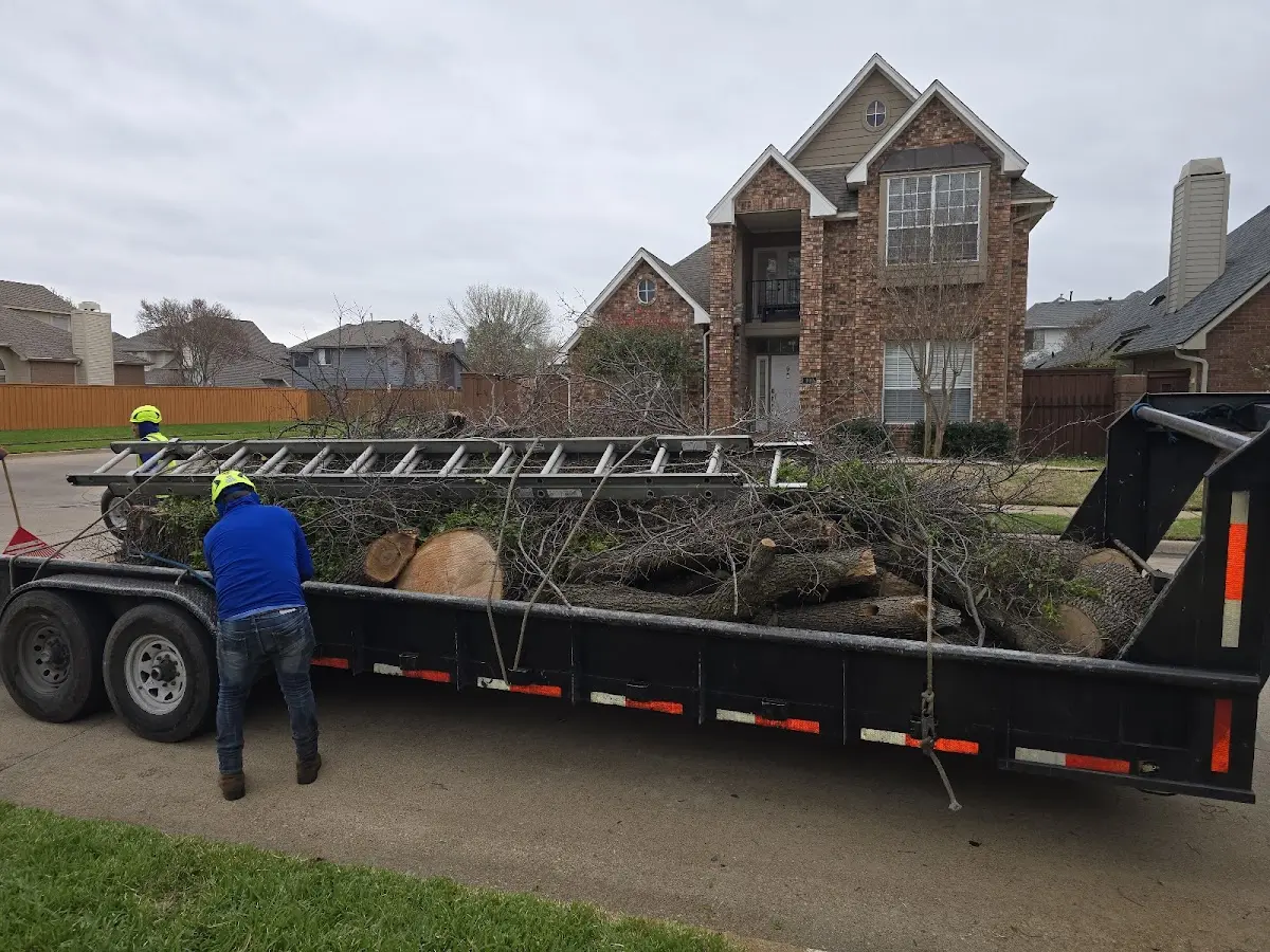 Expert Tree Fertilization with proper safety equipment in New Park